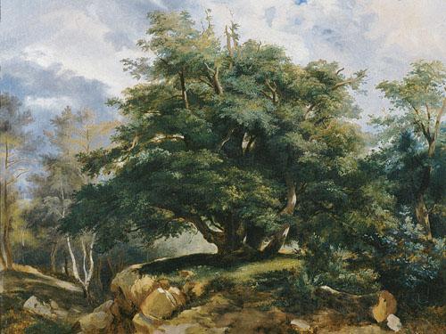 Jules Coignet The Old Oak in the Forest of Fontainebleau Spain oil painting art